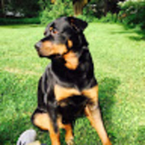 Meet your Posher, Alex